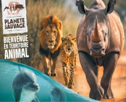 Planète sauvage